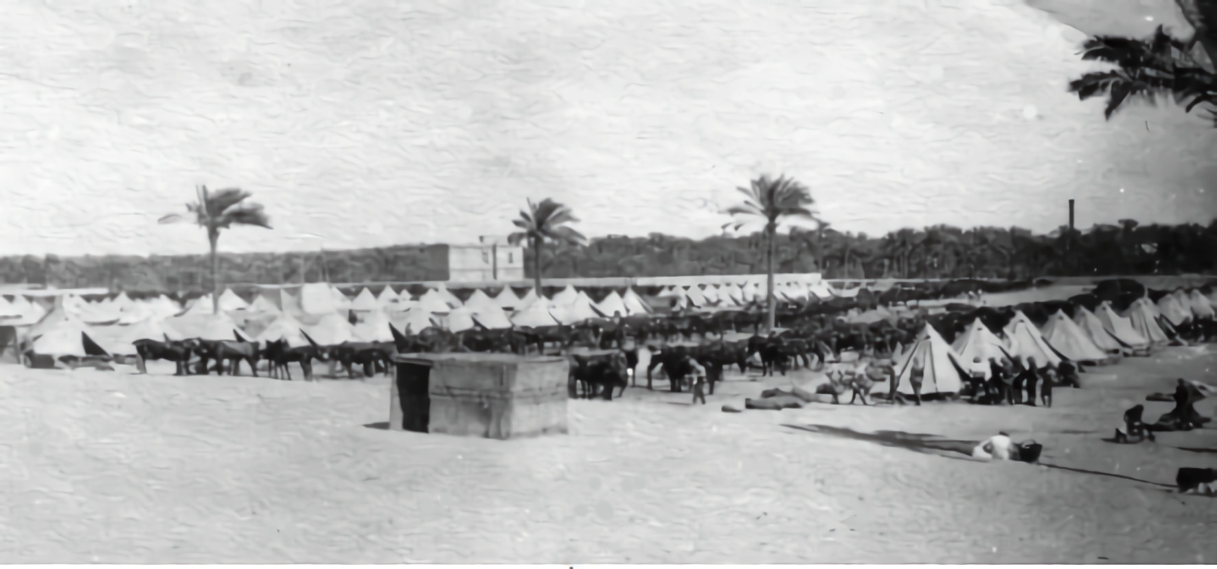Alexandria_1915