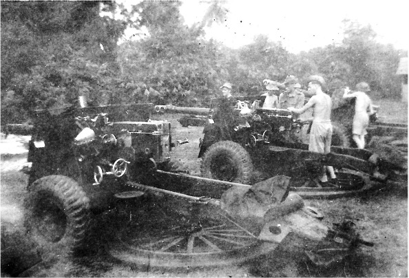 Gun_Park_at_Batu_Gajah